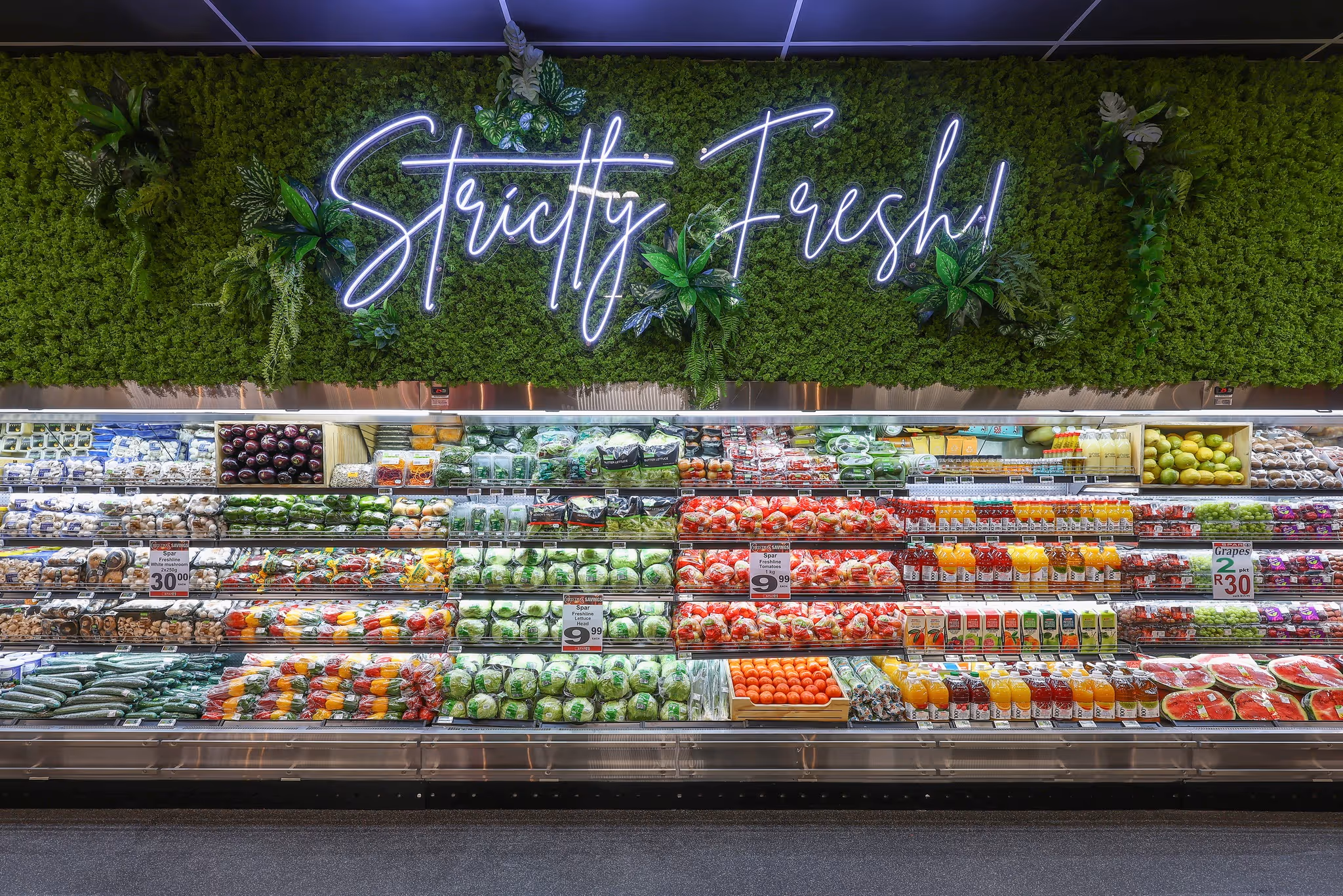 wonderboom spar image