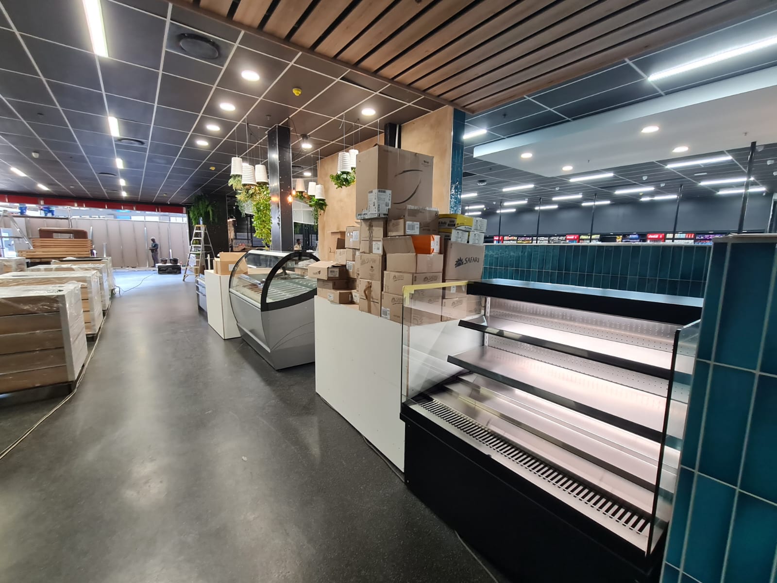 wonderboom spar image